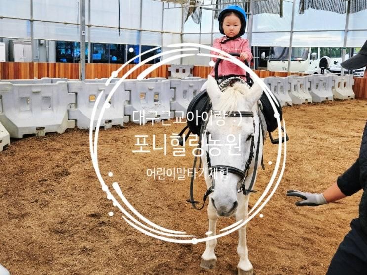 대구근교 아이와 가볼만한곳, 대구어린이체험 포니힐링농원