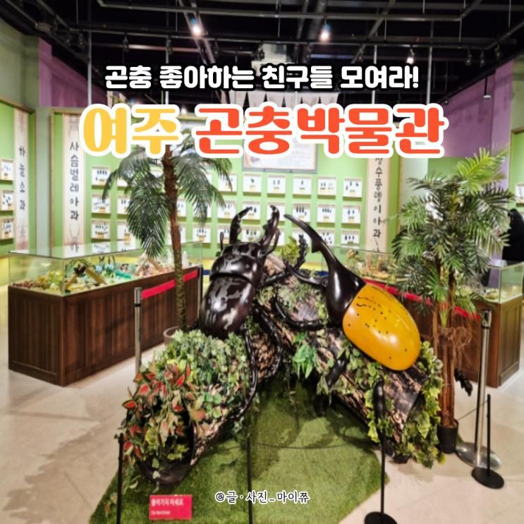 여주 아이랑 가볼만한곳 여주곤충박물관