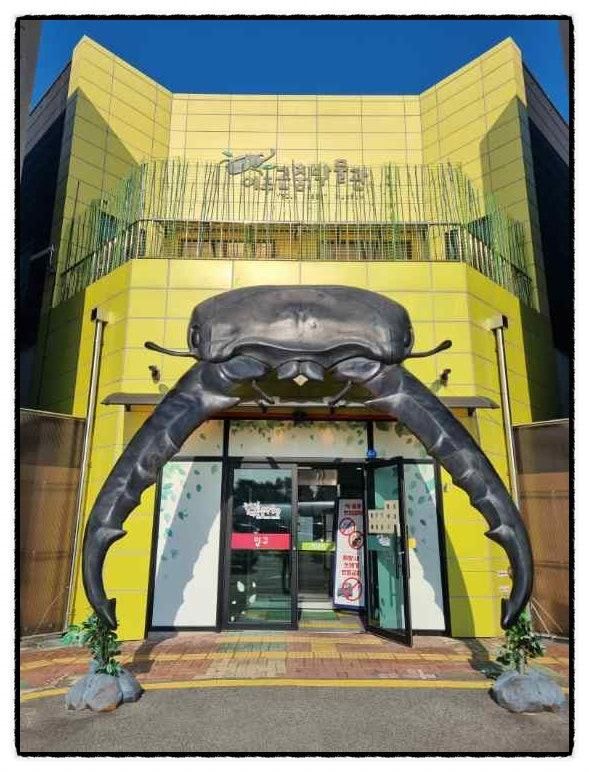 곤충 살아있는 해외 곤충을 직접 만나는 특별한 경험, 여주 여행의 새로운 재미 여주곤충박물관