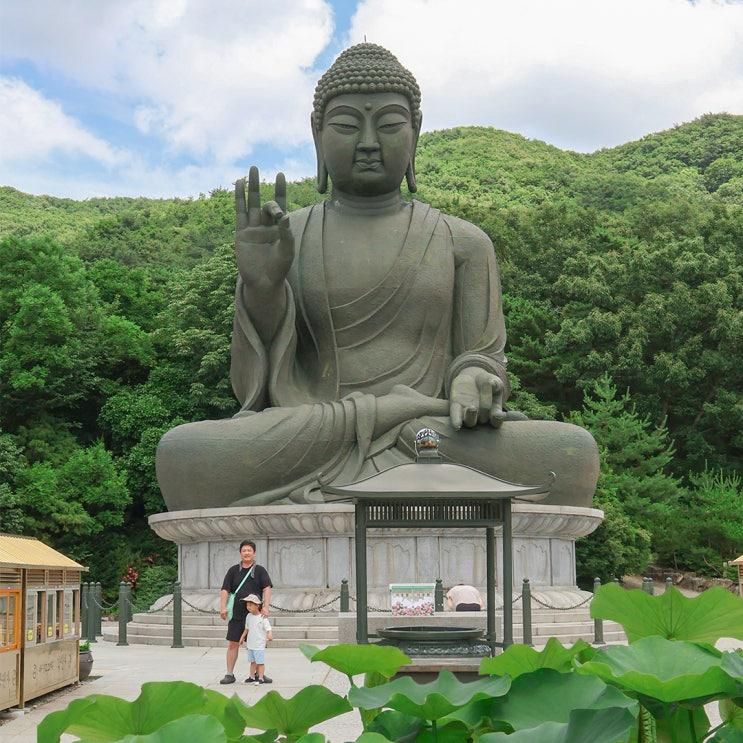 충남 천안) 아이와 함께 웅장한 청동대불이 있는 '각원사' 방문기