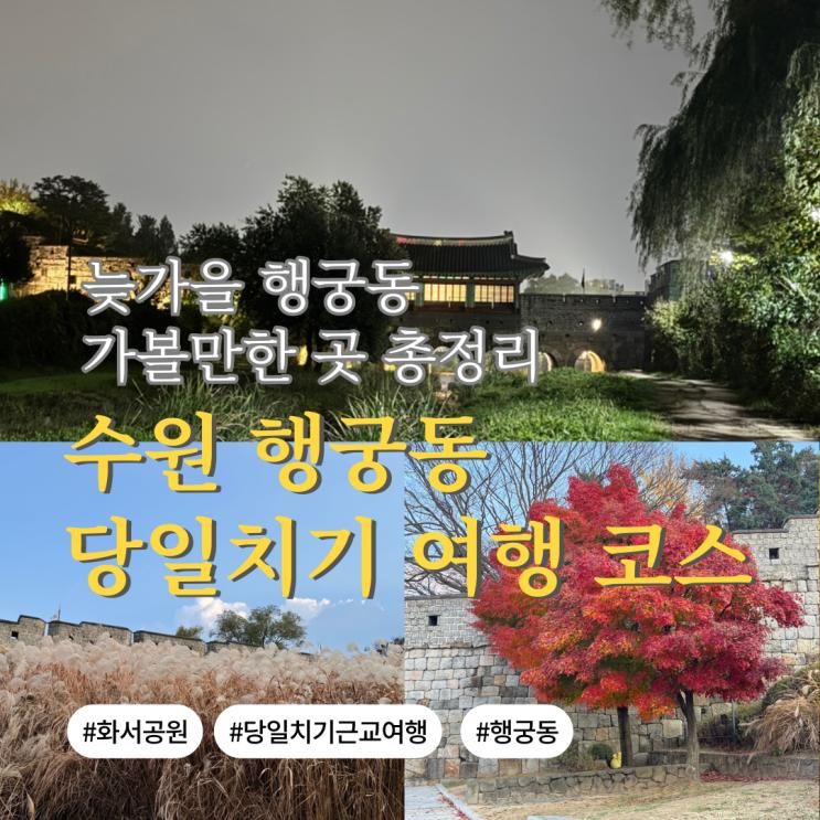 수원 행궁동 당일치기 여행 코스 추천 | 늦가을 억새·성곽길 가볼만한 곳 총정리