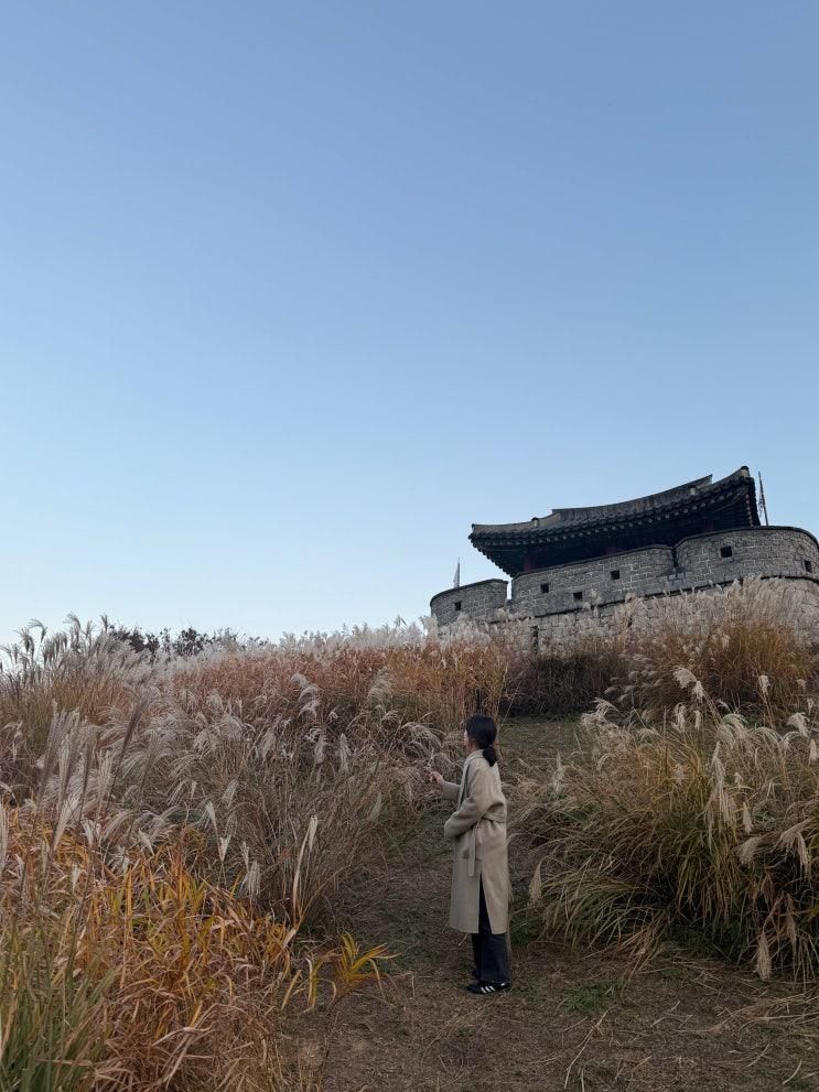 [수원 화서공원] 수원 억새 명소 "화서공원"