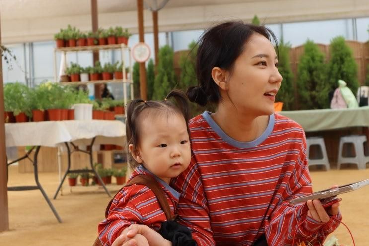 [아기랑 놀러다니기][경기/용인] 무럭무럭 농장 🐰 (+우린탕, 호텔북리)