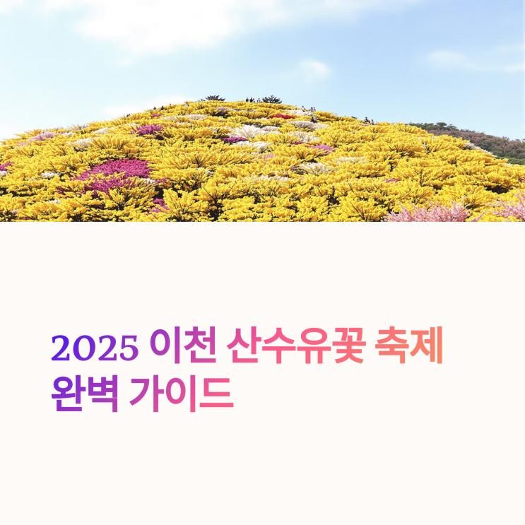 2025 이천 산수유꽃 축제 완전 정복: 개화 정보부터 셔틀버스까지