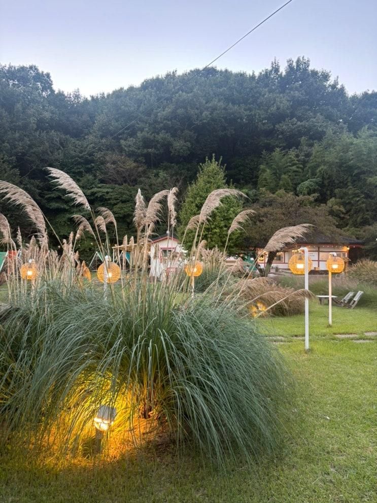 서산 온석커피, 잔디밭과 야외공간이 멋진 카페! 서산 가보, 아기랑 가기 좋은 중국집