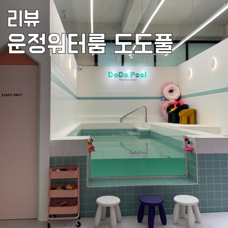 파주키즈카페 파주워터룸 도도풀 프라이빗 수영장