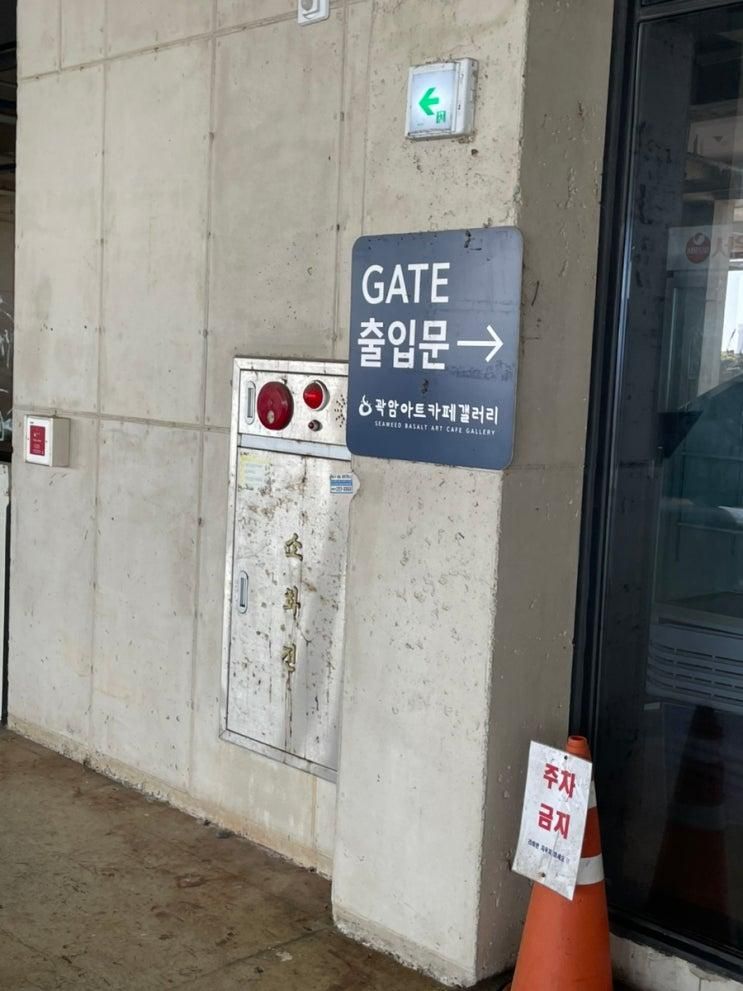 울산 동구 곽암아트카페갤러리｜바다뷰 끝판왕 감성카페에서 아이와 오리 먹이체험까지!