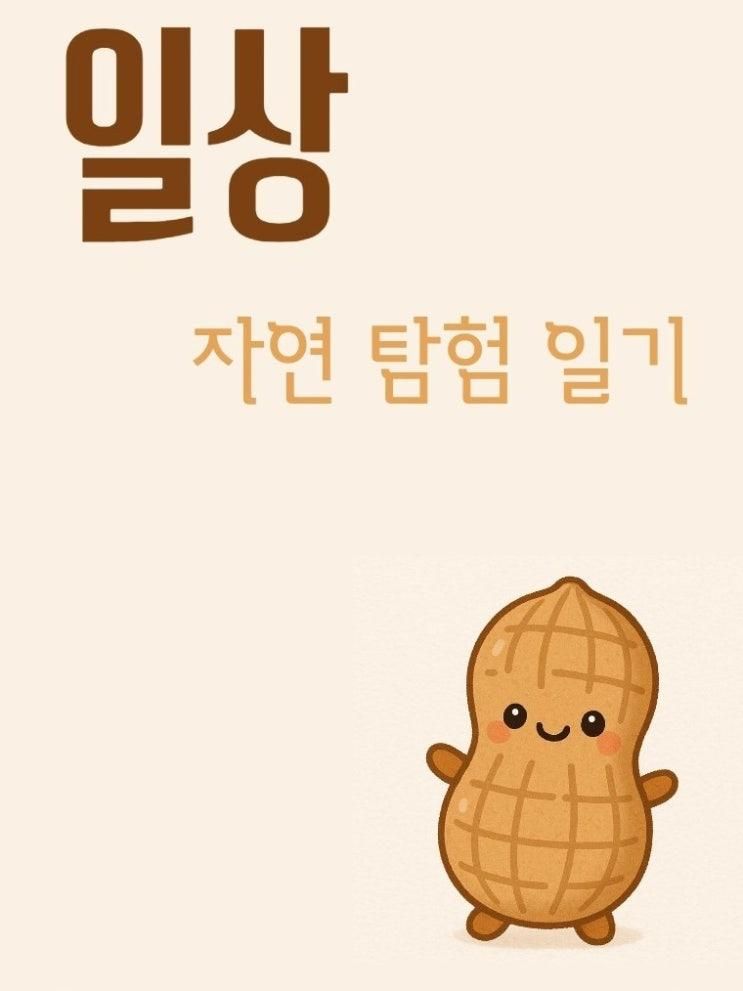 자연 탐험 일기 - 반가워, 장수풍뎅이