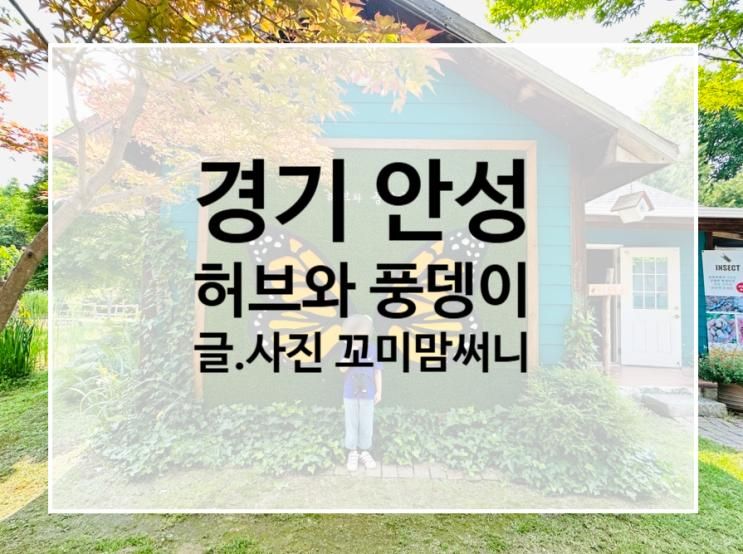 [경기 안성] <1편> 6살 8살 아이랑 가볼만한 곳 "허브와풍뎅이" 체험 후기