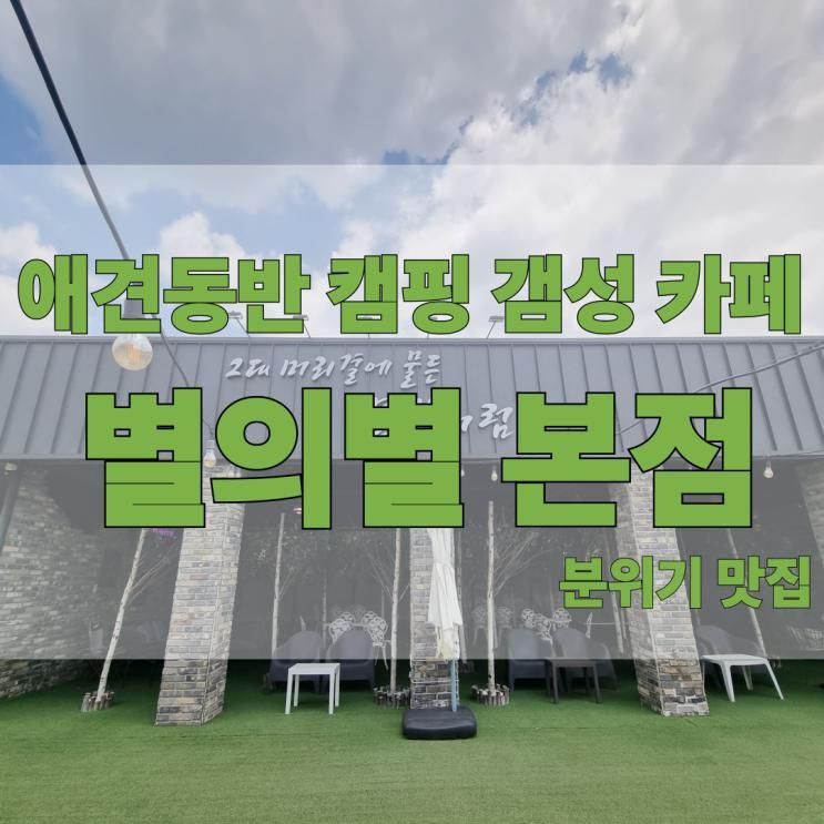 대구 달성군|구지 애견동반 캠핑감성 편하고 조용한 카페 추천 별의별 본점