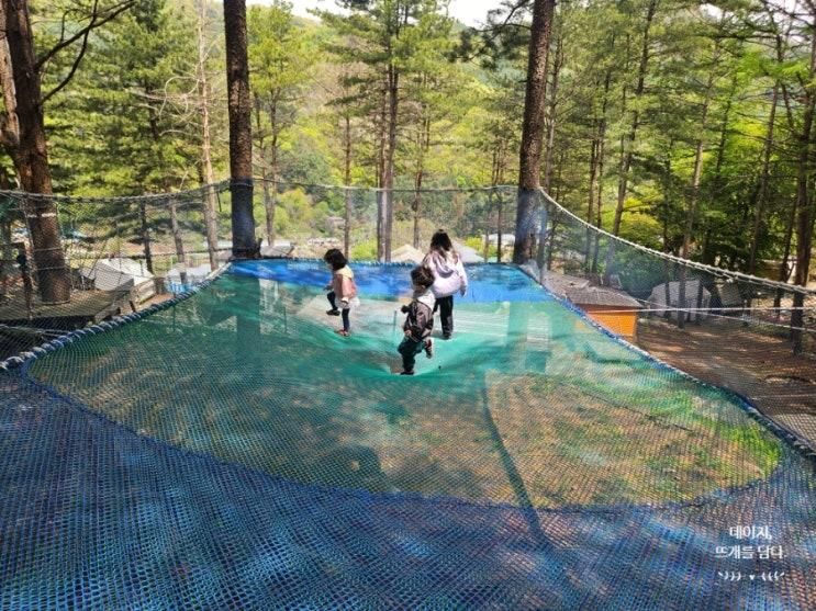 가평 숲놀이터 도토리요정숲 당일치기 나들이_내돈내산