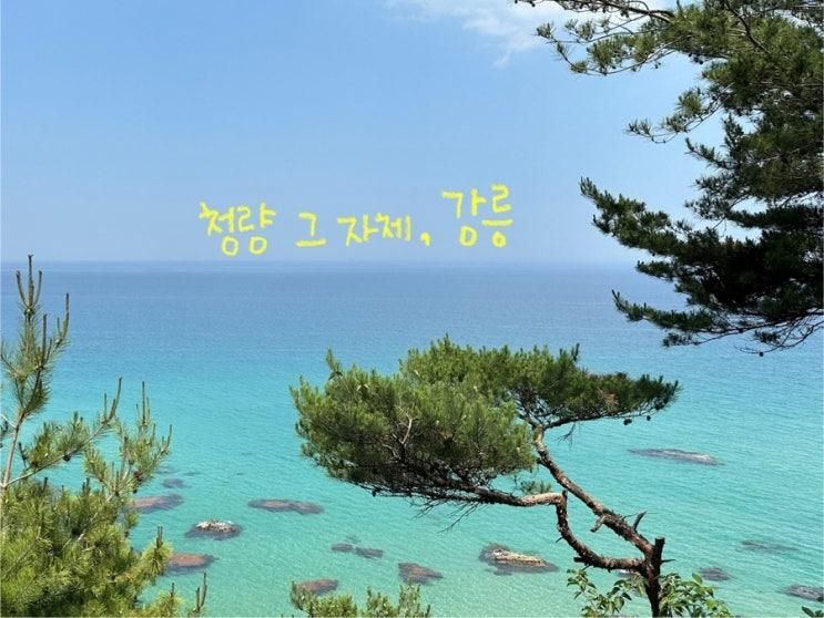 강릉 2박3일 | 강릉 2박3일 일정 코스 총정리 추천 가볼만한곳 스테이인터뷰카페 등명해변 등명해수욕장 꿀팁 정동진 바다해시계 | 3일차