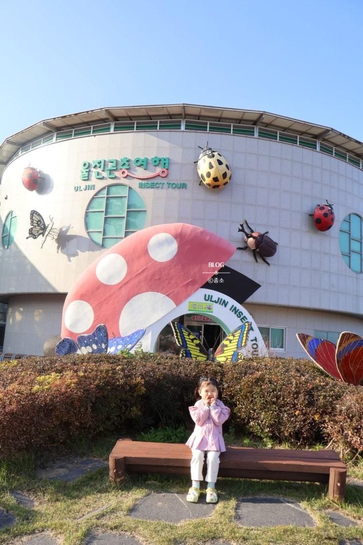 울진곤충여행관 왕피천공원체험시설 아이랑가볼만한곳