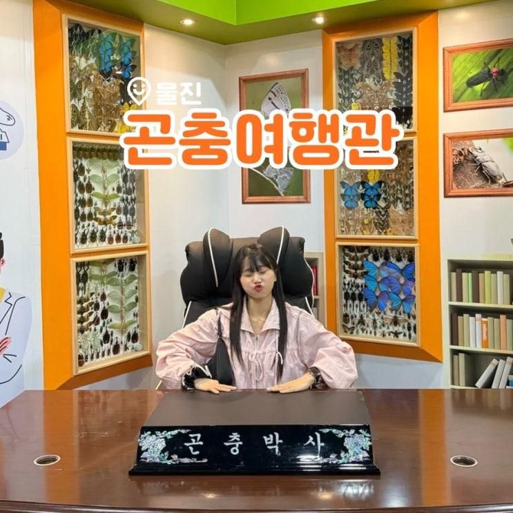 경북 울진 아이와 가볼 만한 곳 곤충을 만날 수 있는 곤충여행관