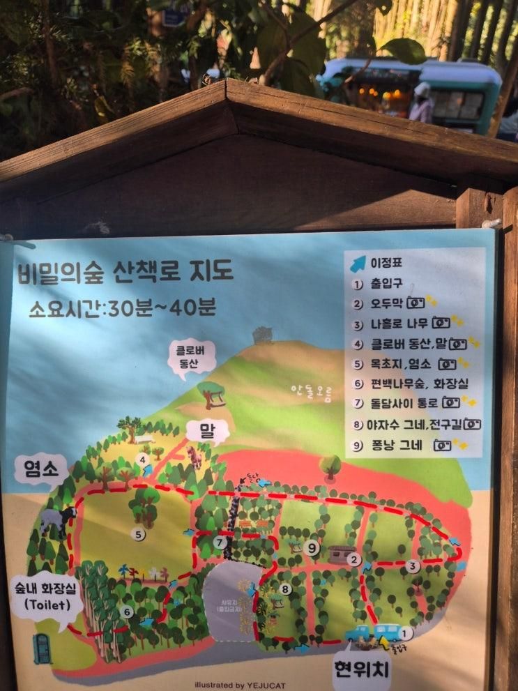 [오름]비밀의 숲과 안돌&밧돌오름
