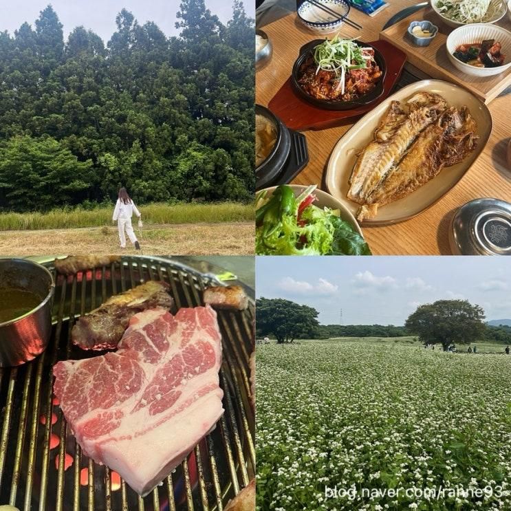 [제주 동쪽 여행 코스] 와흘메밀마을, 밀림원, 비밀의숲&안돌오름, 저팔계깡통연탄구이