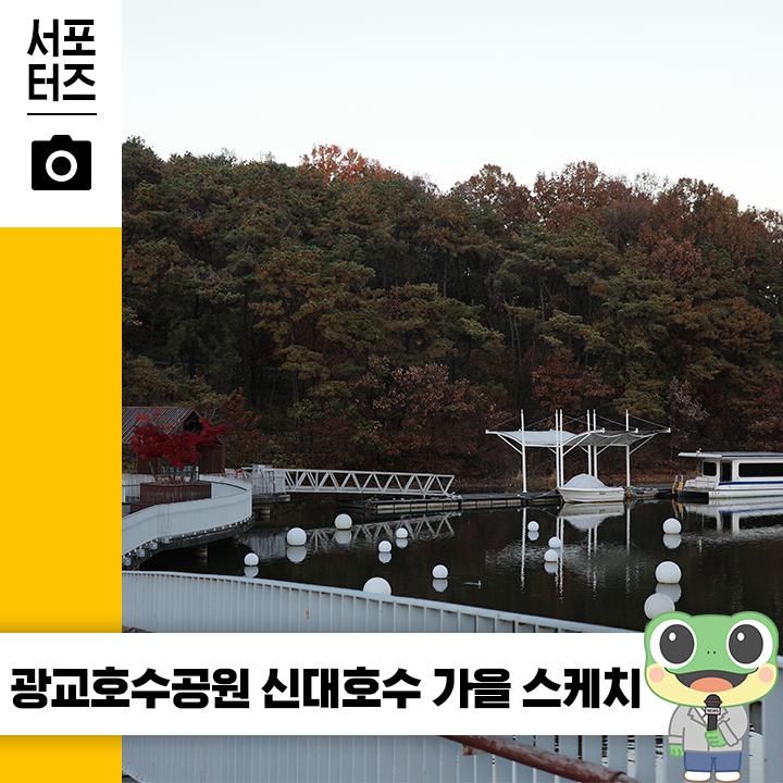 추천! 수원 산책코스 | 단풍이 아름다운 곳 가을 풍경 스케치✨'광교호수공원 신대호수' 리뷰 ☆