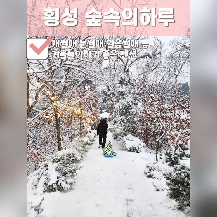 횡성 숲속의 하루, 겨울왕국에서 아이와 눈놀이 할 수 있는 가성비갑 숙