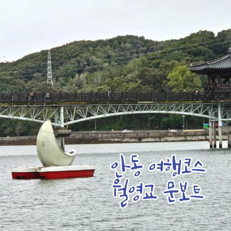 안동 월영교 문보트 주차 여행코스 가볼만한곳