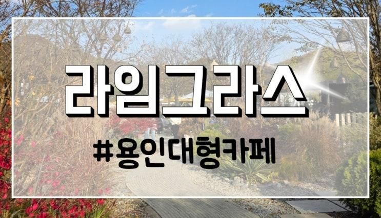 용인 대형카페 라임그라스 | 볼거리가 많아 아이랑 가기 좋은 카페