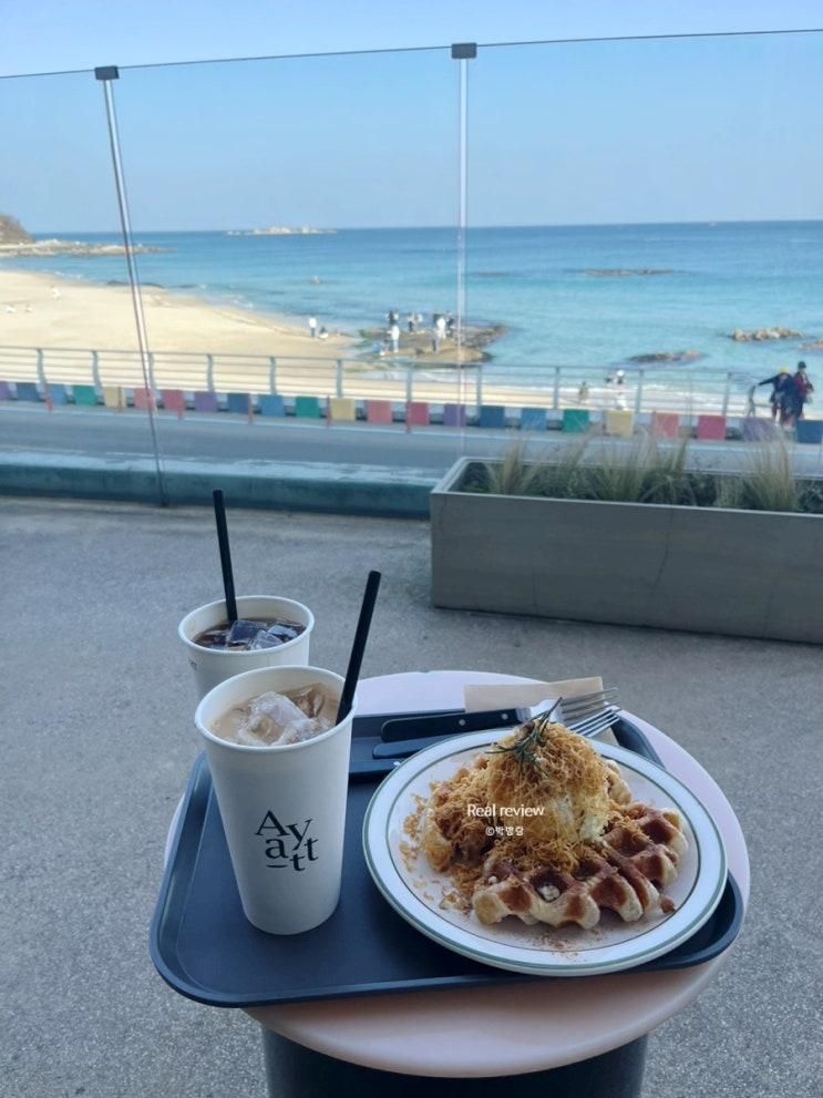 강원도 고성 카페/ 진정한 오션뷰 맛집 '아야트커피' (아야트)