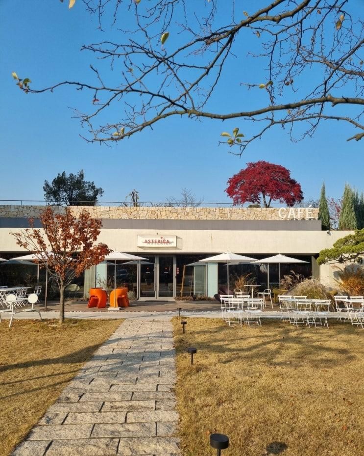 20251104/ 용인처인구/ 아스테리카 바이 더체어