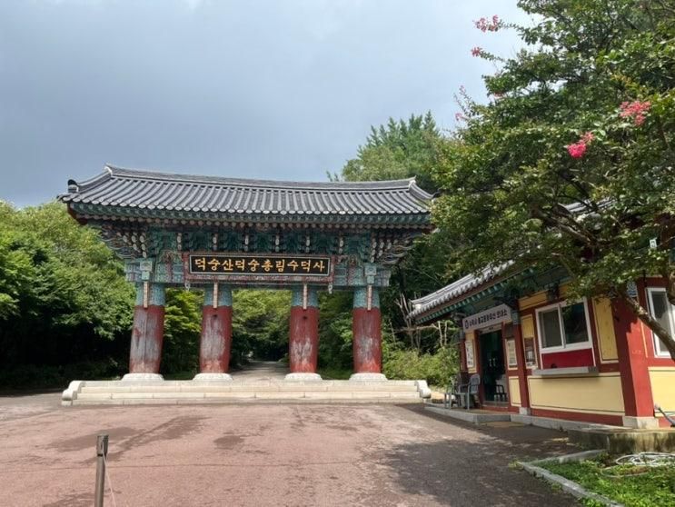 26개월 아기와 함께한 충남 예산 3박 4일 여름휴가🚗 -2