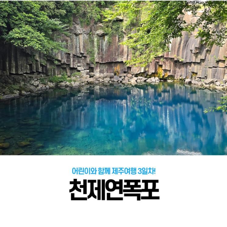 아이랑 제주여행 3일차 - 천제연 폭포: 우연히 들린 아름다움