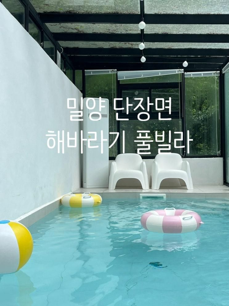 밀양숙소 해바라기펜션 풀빌라 계곡이 있는 펜션 가족여행 후기
