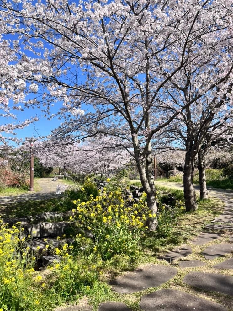 제주도 태교 여행_첫번째이야기(임신 12주차)