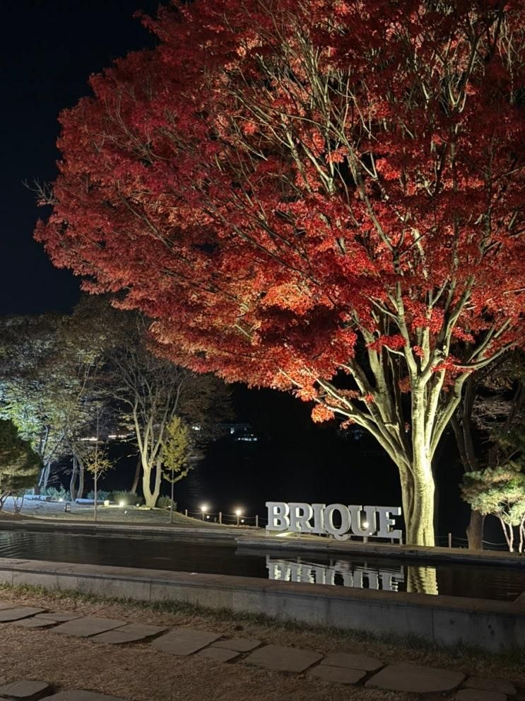남양주 카페 | 카페 브리끄, 단풍 대형 카페🍂 (내부 시설 및 주차 정보)