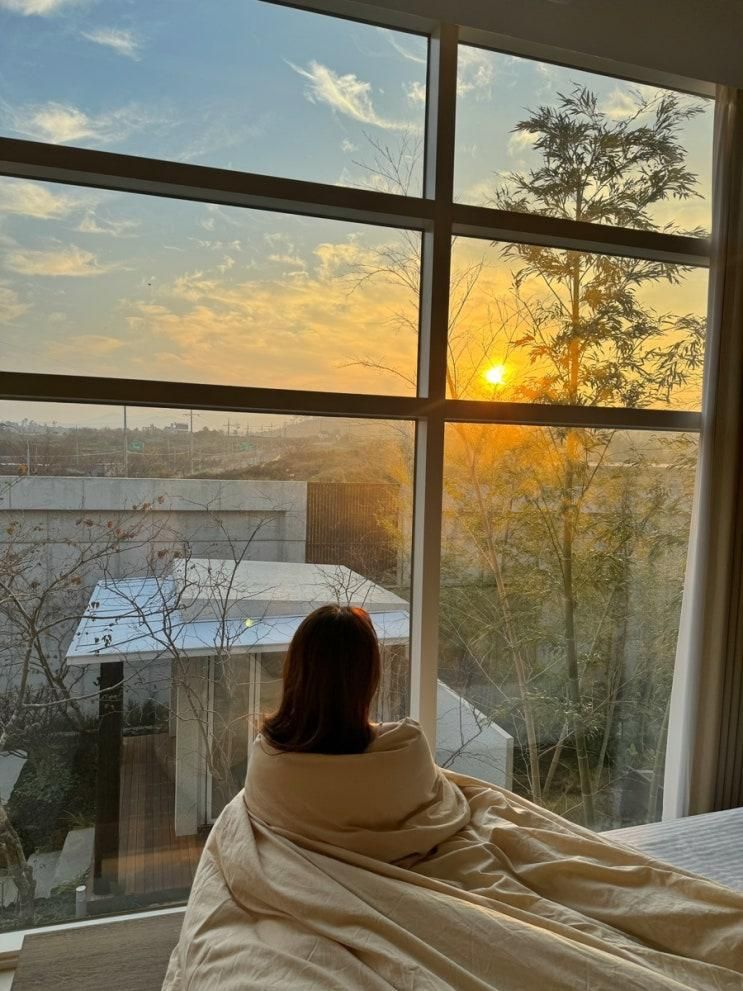 제주 애월 근처 감성 자쿠지 독채 펜션 안도스테이