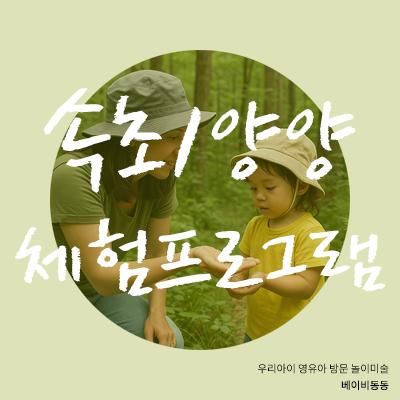 어린이집 방학엔 속초 양양 고성 체험 프로그램으로 시간순삭