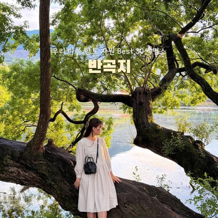 대구 근교 가볼만한곳 경산 반곡지 아이랑 드라이브 가기 좋은 명소