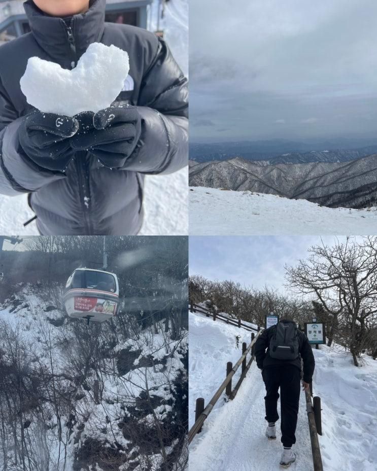 덕유산 정상 향적봉까지 곤도라주말현장예매 성공했던 방법