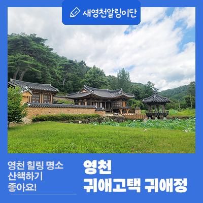 영천 힐링 명소 귀애고택 귀애정 산책하기 좋네요!