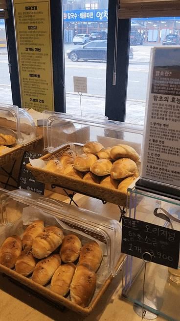대부도소금빵맛집 [함초당&알로하피크닉] 대부도 여행