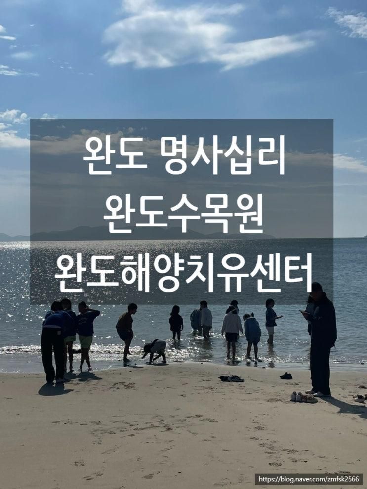 2025완도나들이!완도해양치유센터/완도수목원/완도 명사십리해변/완도전망대