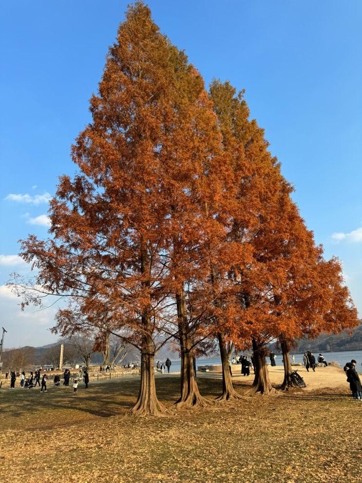 양평 아이랑 함께 곤충박물관, 두물머리 당일치기