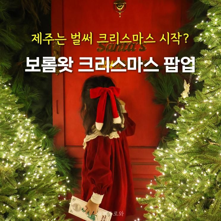 제주는 벌써 크리스마스 시작! 반짝이는 제주 보롬왓