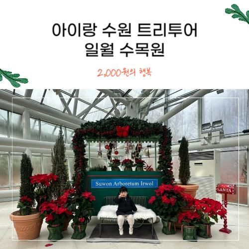 아이랑 수원 일월수목원 트리, 무료입장 랜던 쿠폰 이벤트 중