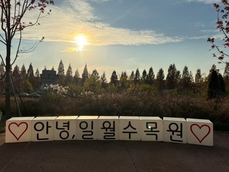수원 일월수목원 아이랑 단풍 가을느낌 물씬 수원가볼만한곳
