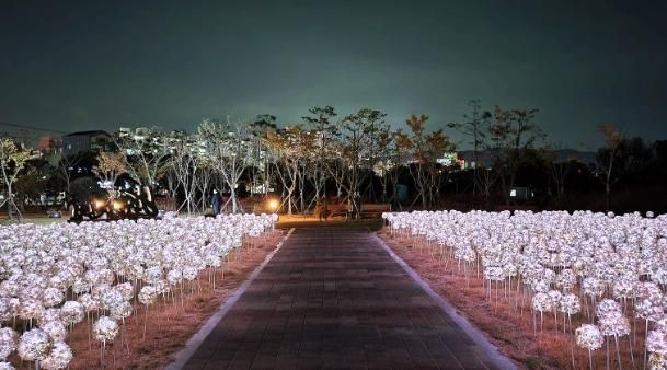 11월 경주 가볼만한곳 밤 산책 여행지 빛누리정원의 몽환적인 야경