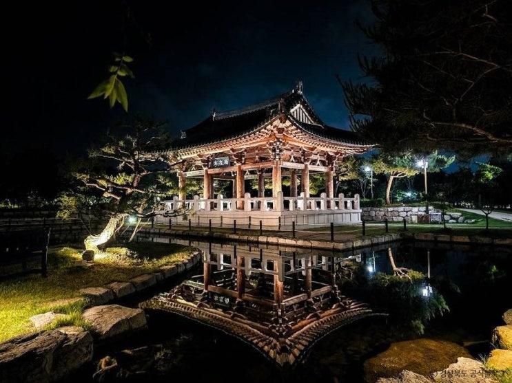 경주 황성공원 음악 야경 산책 명소! 빛누리정원, 경주 야간 가볼만한 곳