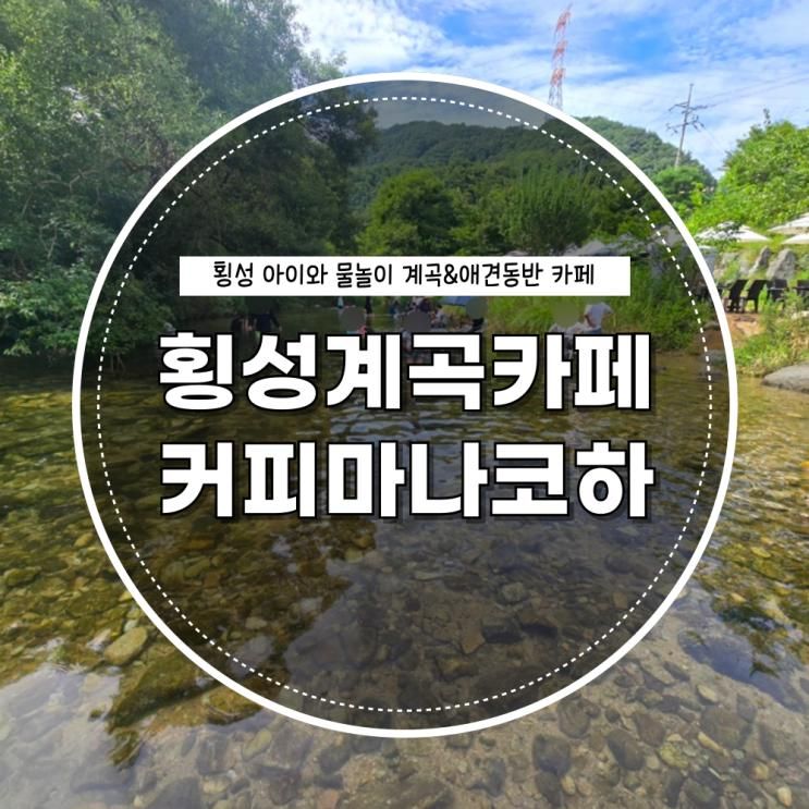횡성 계곡카페 커피마나코하, 아이랑 물놀이 이용시간 애견동반 주차