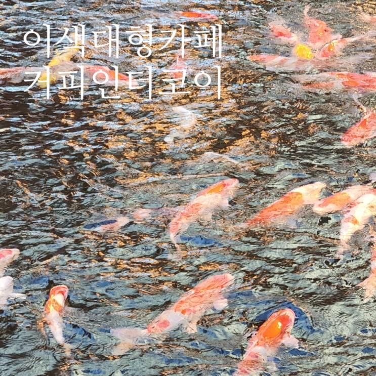 김해 장유 율하 카페 커피앤더코이 방문 후기｜잉어 구경하며 힐링 가능한 대형 카페 리뷰