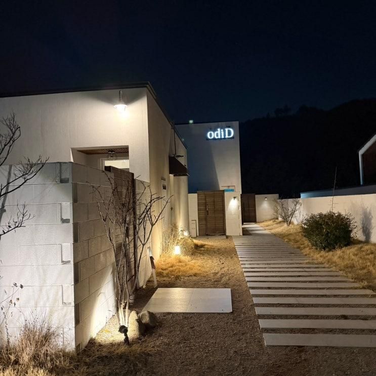 여행_경주 감성숙소 오디드 D1 2박3일