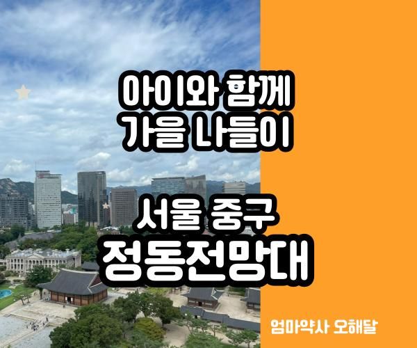 아이랑 가을 나들이-덕수궁이 한눈에 보이는 정동전망대 카페에 다녀왔어요. (주차정보 포함)