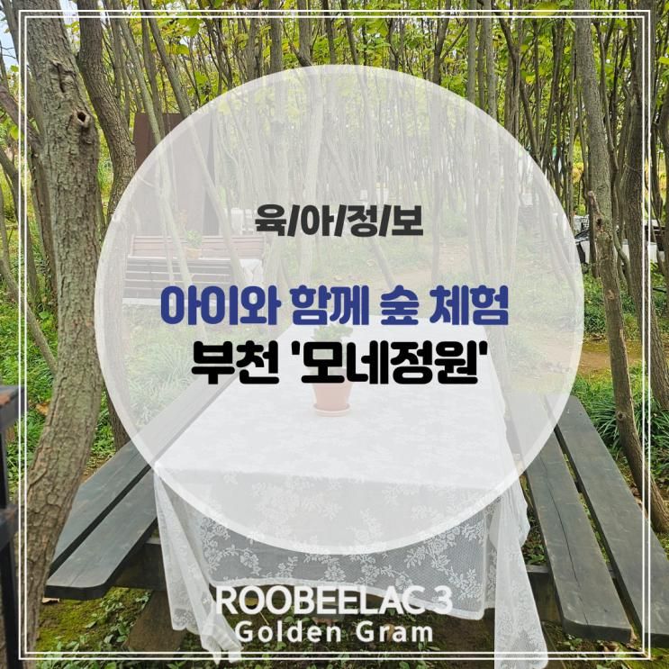 부천 모네정원 아이와 가볼 만한 곳 숲 체험학습 고구마 캐기 by. 덴마크 프리미엄 분유 루비락 3