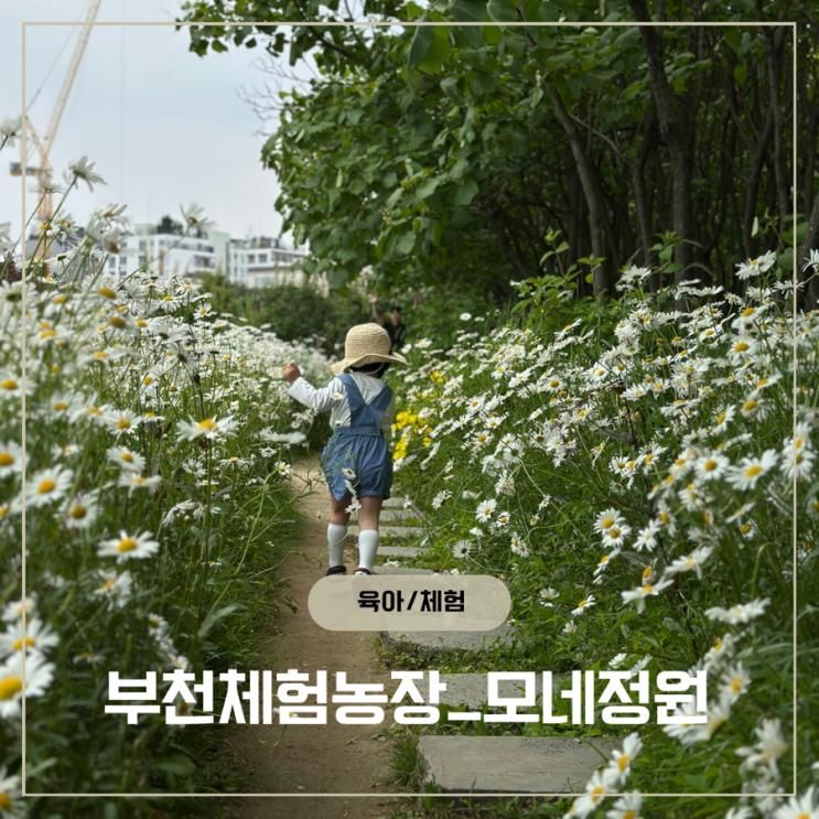 서울 근교 아이와 가기 좋은 체험농장 부천 모네정원